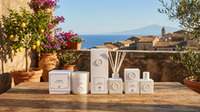 Load image into Gallery viewer, Capri - Diffuser (white tea, ginger, armoise)
