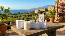 Load image into Gallery viewer, PALERMO - 9 oz candle (eucalyptus, mint)
