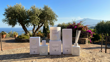 Load image into Gallery viewer, Villa Romana - 9 oz candle (black currant, berries, rose)
